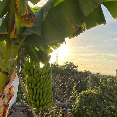 Un Paraiso En Tenerife Punta Del Hidalgo Exterior foto